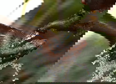 极限高空运动科技突破